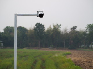 Outdoor CCTV camera operating inside organic farm plantation.Smart Farm.