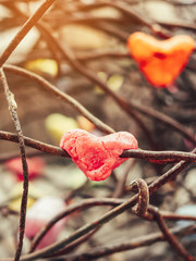 A chunk of a red heart shaped candle adheres to an old rusted steel rod.  A valentine's day background.