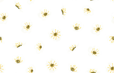 Obraz premium Seamless dainty floral pattern.