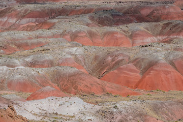 Beautiful landscape of Painted Desert Rim, Petrified Forest National Park