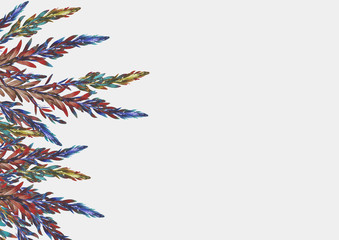 Fototapeta na wymiar ミモザの木　アカシアブルーブッシュの葉のフレームイラスト