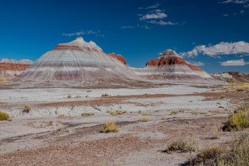 Beautiful landscape of Petrified Forest National Park