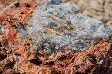 Beautiful landscape of Petrified Forest National Park