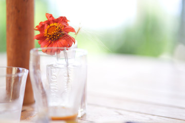 ガラスの一輪挿し