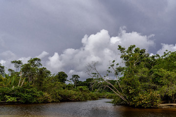 Regenwald in Costa Rica