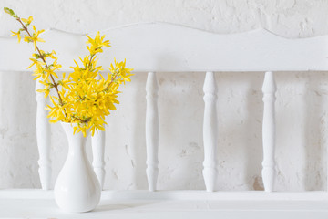 forsythia  in vase on white background