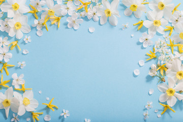 daffodils and cherry flowers on blue background background