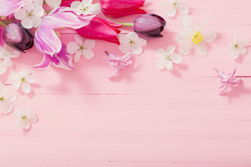 Naklejka na ściany i meble spring flowers on pink wooden background