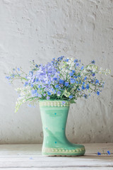 spring flowers in vase on background white old wall