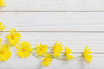 doronicum flowers on painted wooden background