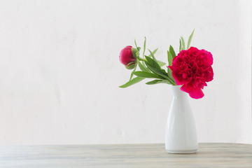 peony flowers in white vase on white background