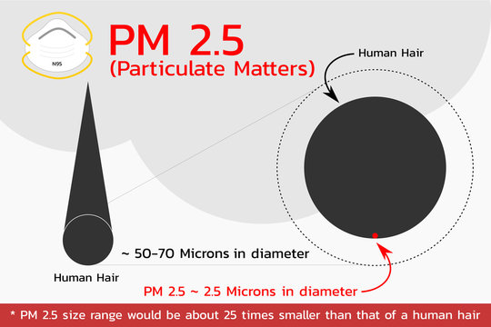 Particulate Matter 2.5 Microns , Vector