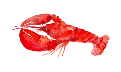 Delicious red boiled lobster. Watercolor illustration isolated on white background