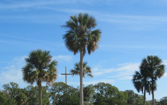 Palm trees on blue sky background in St. Augustine Florida