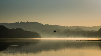 Obraz na płótnie Canvas Scenic Golden hour Sunrise over the lake with reflection mist on the water, Landscape sunrise concept and bird in flight