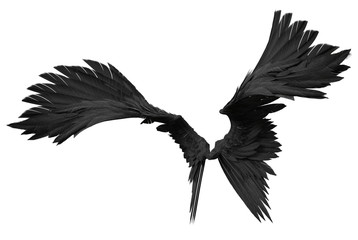 Fototapeta na wymiar 3D Rendered Fantasy Angel Wings on White Background - 3D Illustration