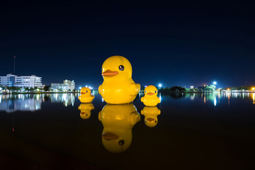Giant yellow ducks at night, The Giant yellow ducks is the most popular in Nong Prajak public park.