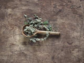 Dry medicinal herb lemon balm, mint. Wooden ancient background. Herbal tea for health.