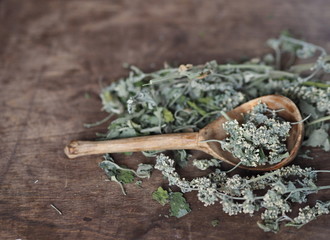 Dry medicinal herb lemon balm, mint. Wooden ancient background. Herbal tea for health.