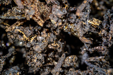 Dirt extreme close up