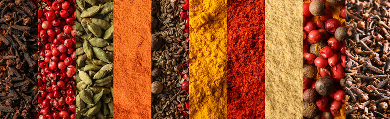 Set of different aromatic spices