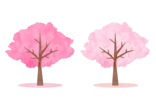 桜の木 Photos Royalty Free Images Graphics Vectors Videos Adobe Stock 桜の木 Photos Royalty Free Images Graphics Vectors Videos Adobe Stock