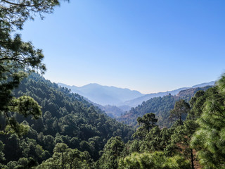 Fototapeta premium Landscape seen from the Himalayan Queen train to Shimla