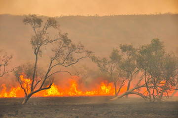Australian fires