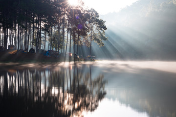 Nature background and Copy space In the morning and sunlight, Pang Ung Forestry Plantations, Maehongson Province, North of Thailand Asia. Tourist attractions and camping relax with nature.