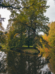 autumn in the park