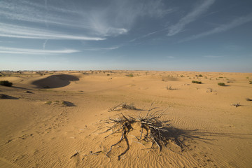 Desert landscape at the Emirates