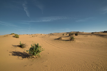 Desert landscape at the Emirates