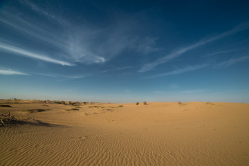 Desert landscape at the Emirates