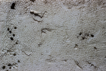 the concept and texture of the background - white styrofoam.