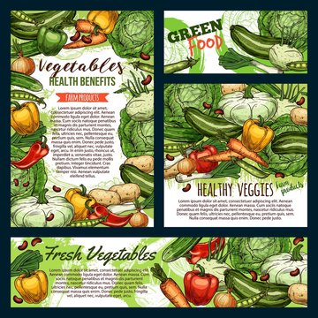 Green food, fresh vegetables and farm product frames sketches. Vector healthy veggies, carrot and cucumbers, pepper and zucchini. Onion and cauliflower, beans and peas legumes, cabbage and potato
