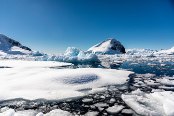 Pack ice and icebergs floating in the cold water of Antarctica © Gabi