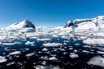 Pack ice and icebergs floating in the cold water of Antarctica © Gabi