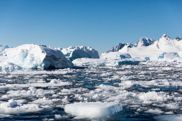Fototapeta na wymiar Pack ice and icebergs floating in the cold water of Antarctica