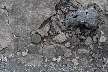 砕けたコンクリートの地面と枯れた切り株