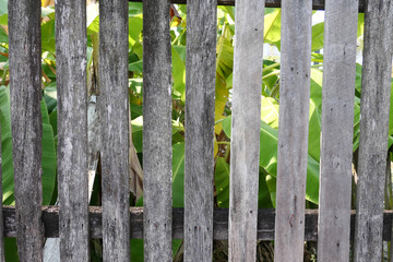 Old wooden fence