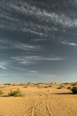 Naklejka premium Desert landscape at the Emirates