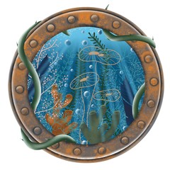 Algae and the underwater world through the porthole window 