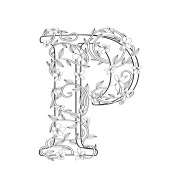 Letter P floral sketch