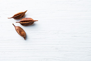 Dried Akebia fruit on white background. Medicinal plant,spice,herb concept.