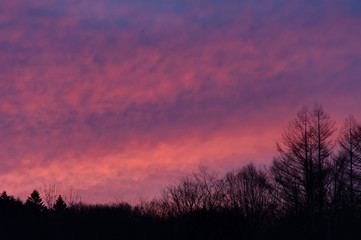 ピンク色に染まった朝焼けの雲