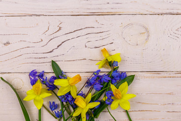 Bouquet of yellow daffodils and blue scilla flowers on white wooden background. Greeting card for Easter, Valentine's Day, Women's Day and Mother's Day. Top view, copy space
