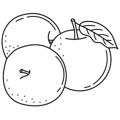 Hand drawing apples; black and white vector illustration; fruity doodle illustration for stickers, posters, seasonal design. 