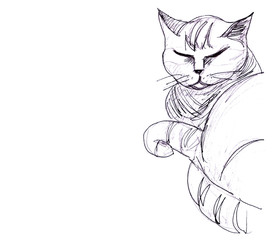 black and white graphic drawing of a sleeping cat and place for text