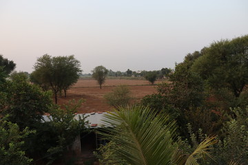 field, sunrise and blue sky