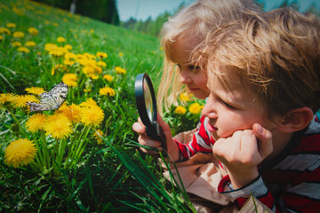 kids - boy and girl - looking at butterfy, kids learning nature